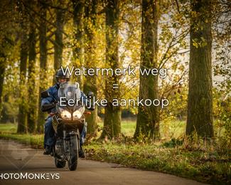 Herfstrit Moerzeke photo