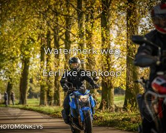 Balade d’automne Moerzeke photo