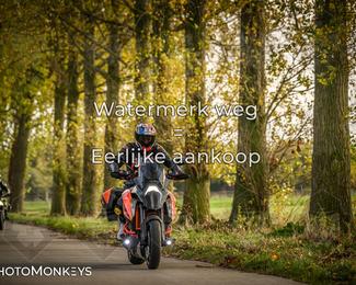 Herfstrit Moerzeke photo