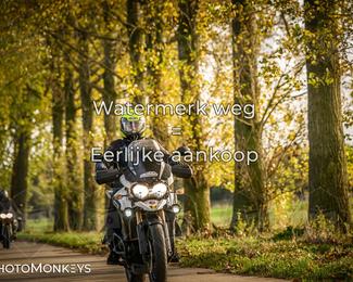 Herfstrit Moerzeke photo