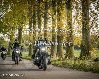 Herfstrit Moerzeke photo