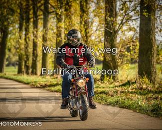 Herfstrit Moerzeke photo