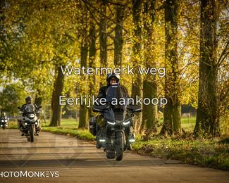 Herfstrit Moerzeke photo