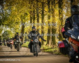 Herfstrit Moerzeke photo