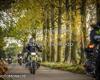 Herfstrit Moerzeke photo