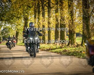 Herfstrit Moerzeke photo