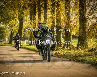 Herfstrit Moerzeke photo