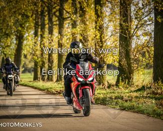 Herfstrit Moerzeke photo