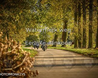 Herfstrit Moerzeke photo