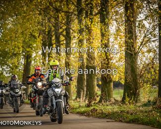 Herfstrit Moerzeke photo