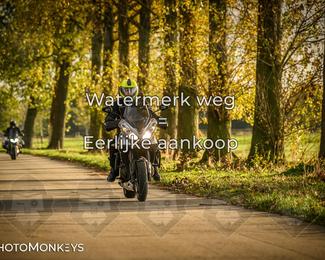 Herfstrit Moerzeke photo