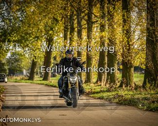 Herfstrit Moerzeke photo