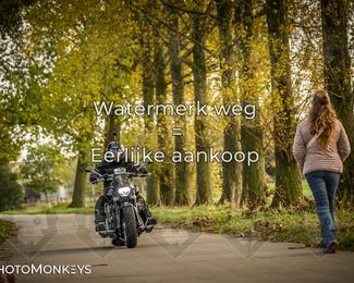 Herfstrit Moerzeke photo