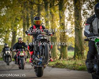 Balade d’automne Moerzeke photo