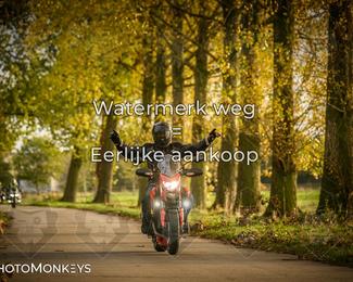 Herfstrit Moerzeke photo