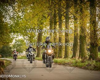 Herfstrit Moerzeke photo