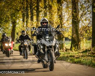 Herfstrit Moerzeke photo