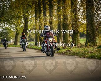 Herfstrit Moerzeke photo