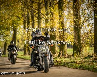 Herfstrit Moerzeke photo