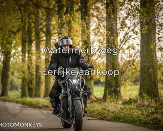 Herfstrit Moerzeke photo