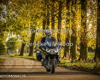 Herfstrit Moerzeke photo