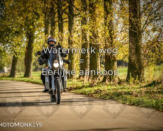 Herfstrit Moerzeke photo