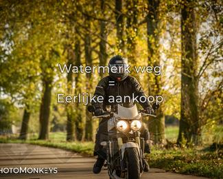 Herfstrit Moerzeke photo