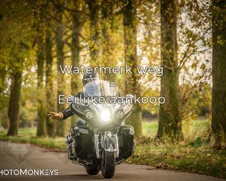 Herfstrit Moerzeke photo