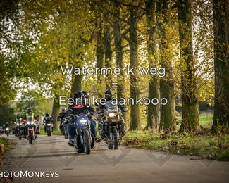 Herfstrit Moerzeke photo