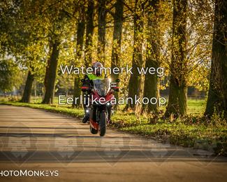 Herfstrit Moerzeke photo