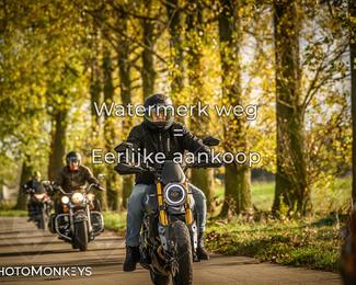 Herfstrit Moerzeke photo