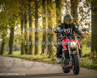 Herfstrit Moerzeke photo