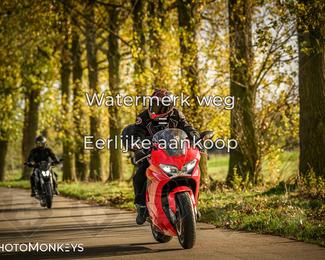 Herfstrit Moerzeke photo