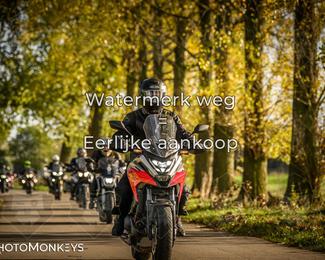 Herfstrit Moerzeke photo