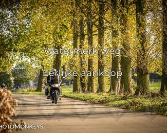 Balade d’automne Moerzeke photo