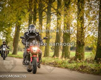 Herfstrit Moerzeke photo