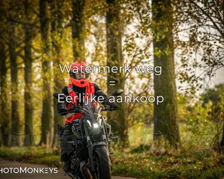 Herfstrit Moerzeke photo