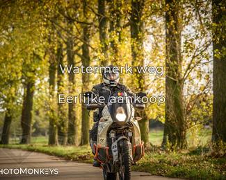 Herfstrit Moerzeke photo