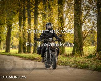 Herfstrit Moerzeke photo