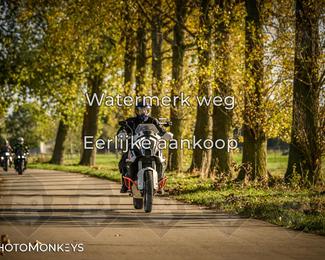 Herfstrit Moerzeke photo