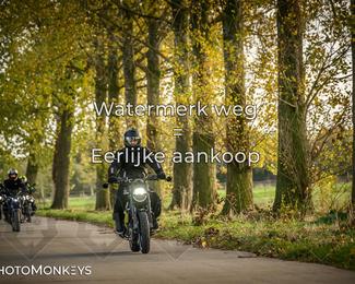 Herfstrit Moerzeke photo