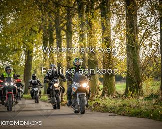 Herfstrit Moerzeke photo