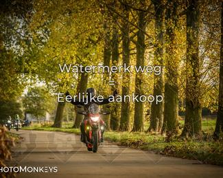 Herfstrit Moerzeke photo