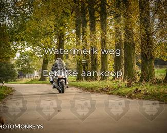 Herfstrit Moerzeke photo