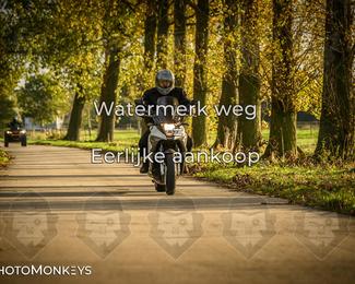 Herfstrit Moerzeke photo