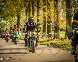 Herfstrit Moerzeke photo