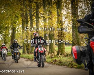 Herfstrit Moerzeke photo