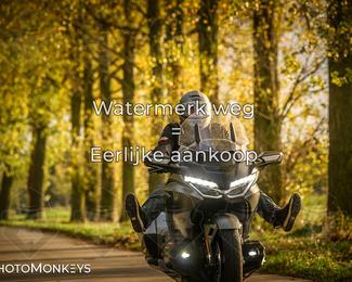 Balade d’automne Moerzeke photo