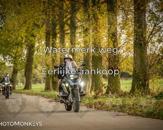 Herfstrit Moerzeke photo