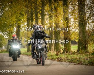 Herfstrit Moerzeke photo